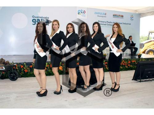 VC Dynamic - Activación