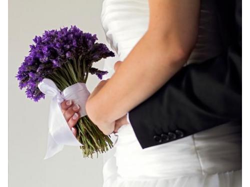 Fotografía profesional