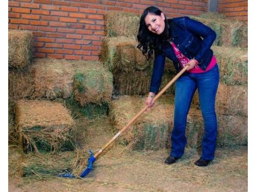 Session casual stephany