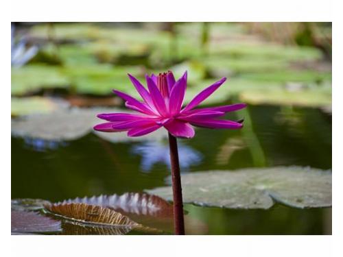 Disfruta de un gran ambiente