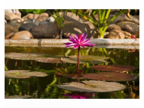 Será una estancia única