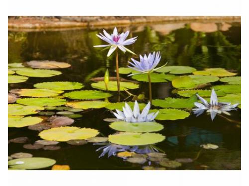 Convive con la naturaleza