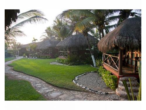 Disfruta de la áreas verdes