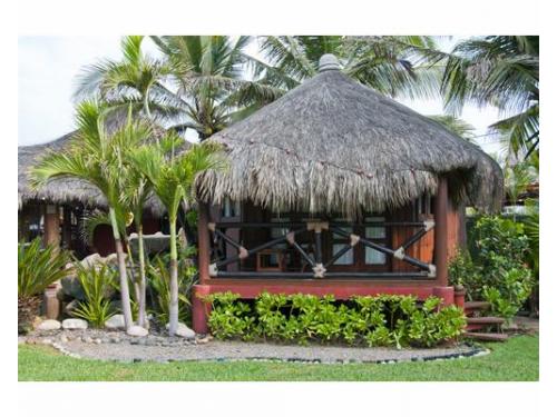 Todos los servicios a tu alcance