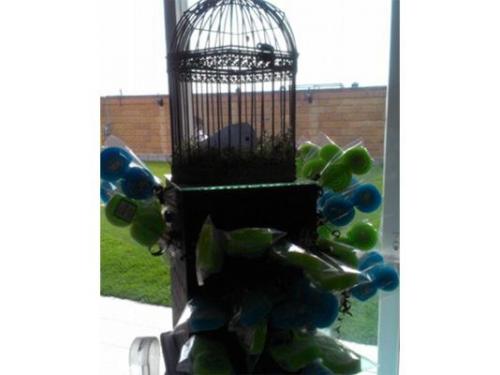 Simulando jaula y alrededor pajaritos