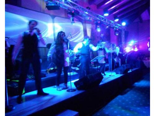 Músicos profesionales