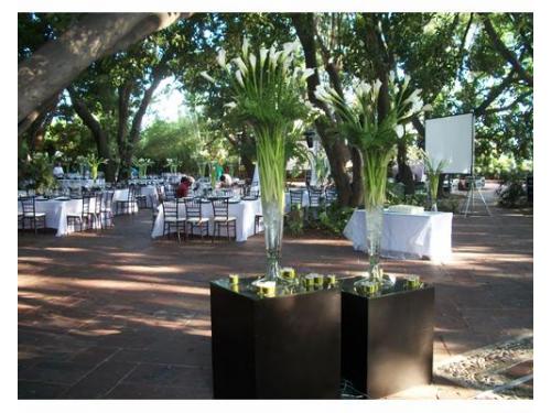 Montajes para bodas i