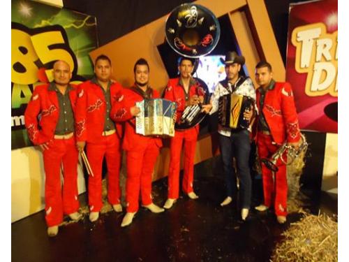 Programa musical