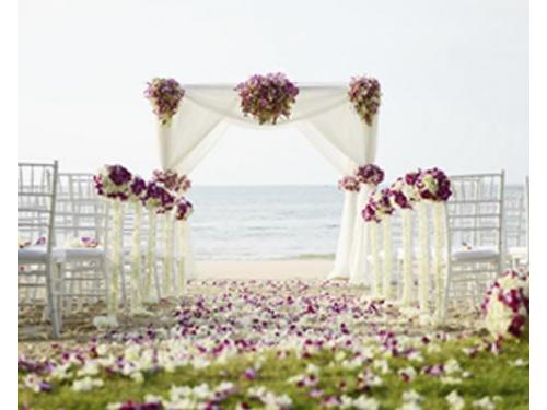 Hacemos tu sueño realidad