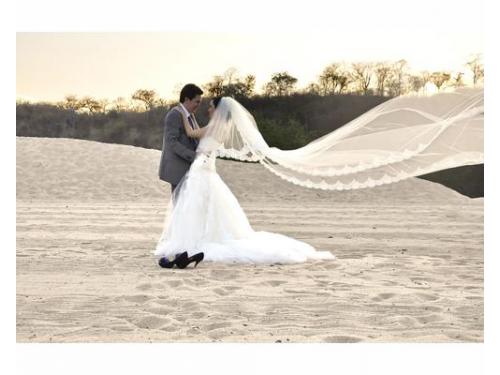 Bella foto con el velo al aire