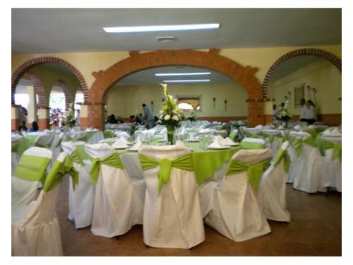 Montaje verde manzana