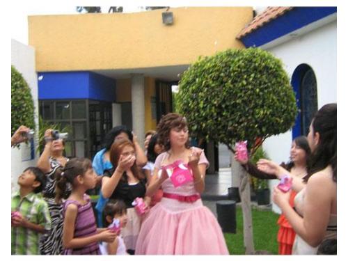 Disfruta de liberar mariposas