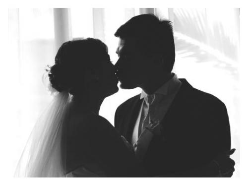 Captan el instante perfecto