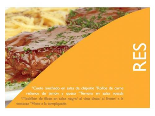 Platillos a base  de res
