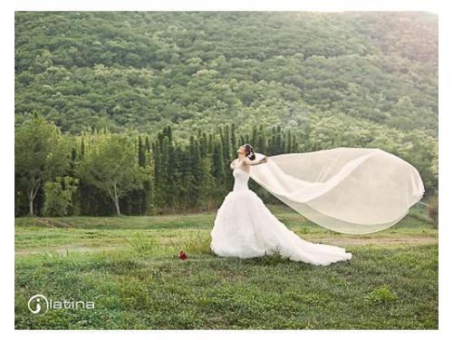 Novia con el velo volando