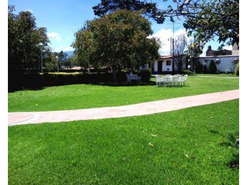 Jardines que engalanarán tu boda