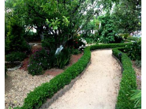 Hermoso jardín para celebrar tu boda