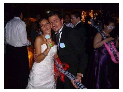 Artículos de animación