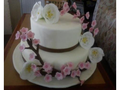 La perfección de tu pastel en nuestras manos