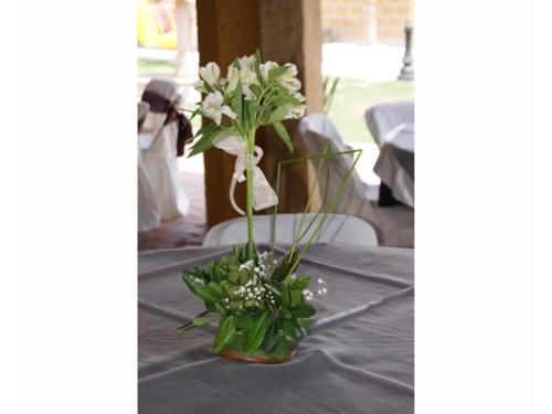 Centro de mesa natural