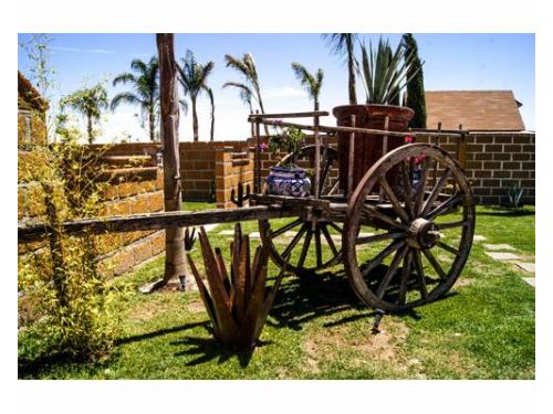 Carreta en el jardín