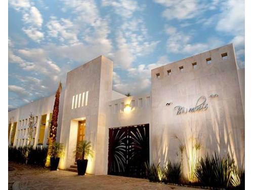 Jardines perfectos para tu día