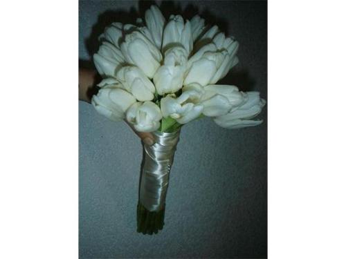Ramo de tulipanes blancos