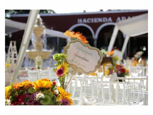 Presentación de la mesa