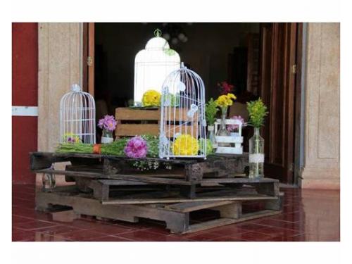 Decoración en la recpeción