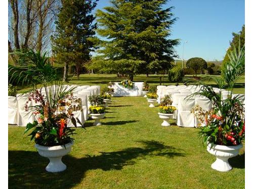 Vegetación en tu boda