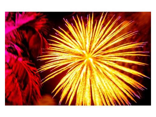 Lo mejor de lo mejor para tu boda