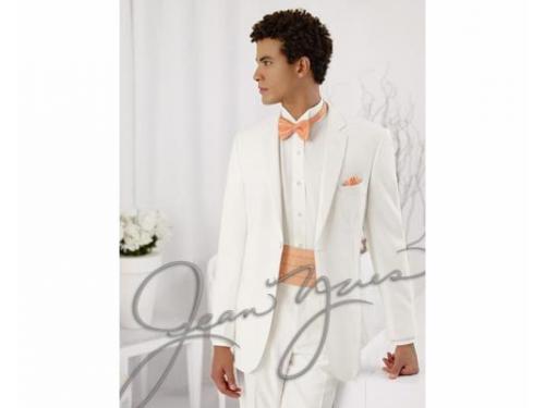 Diseñadores profesionales