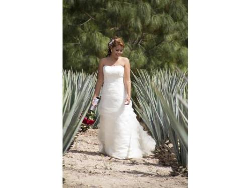 Sesiones en exterior