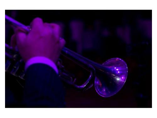 Músicos profesionales