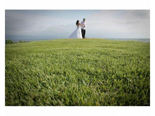 Elige la locación para tu sesión fotográfica