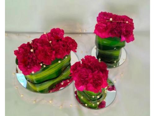 Color en cada arreglo