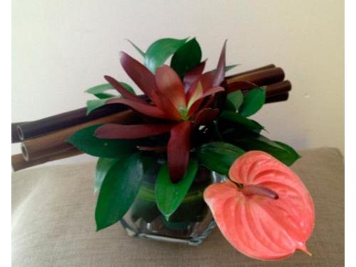 Gran arreglo para la recepción de tus invitados