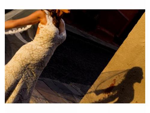 Excelentes fotografías