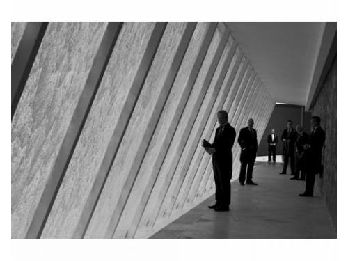 Captan momentos naturales