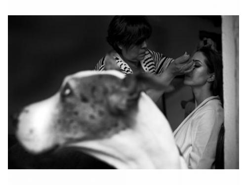 Arreglo de la novia y mascota