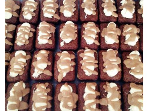 Las mejores opciones para ese día tan especial