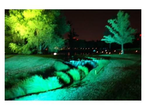 Iluminación en el exterior de tu evento