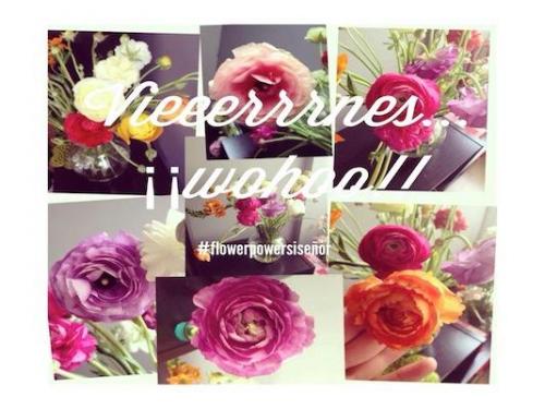 Para alegrar cualquier día