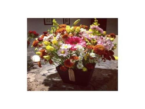 Flores para cualquier ocasión