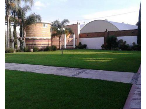 Un marco lleno de vegetación