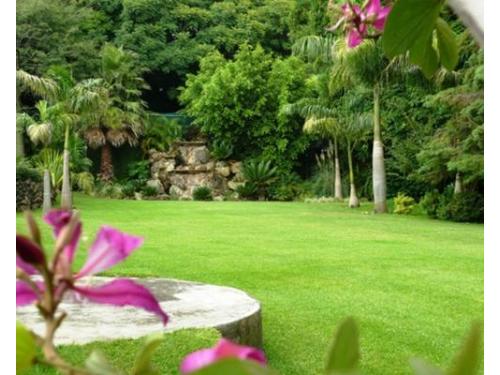 Hermosas áreas verdes