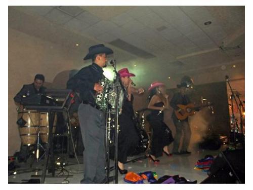 Gran variedad de géneros musicales