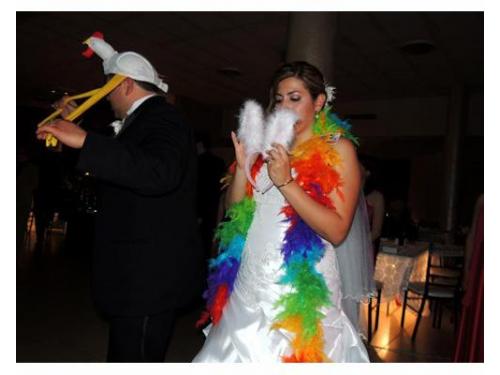 Divertidos accesorios