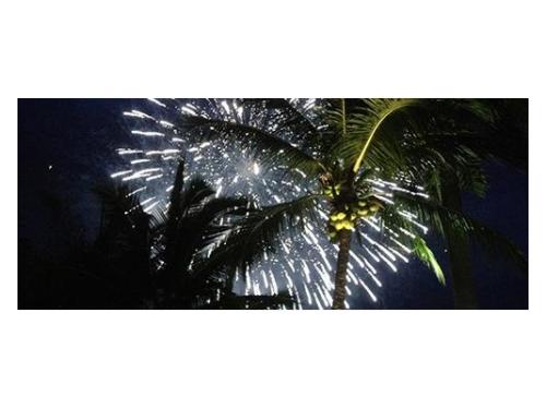 Fuegos  artificiales