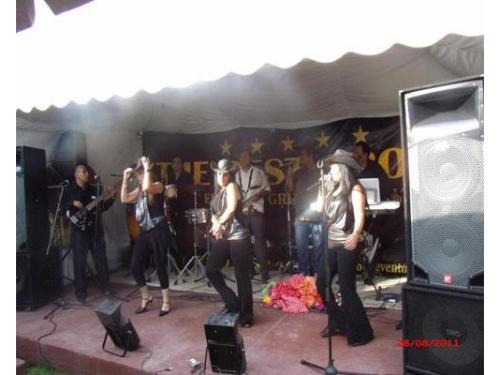 Música profesional para bodas